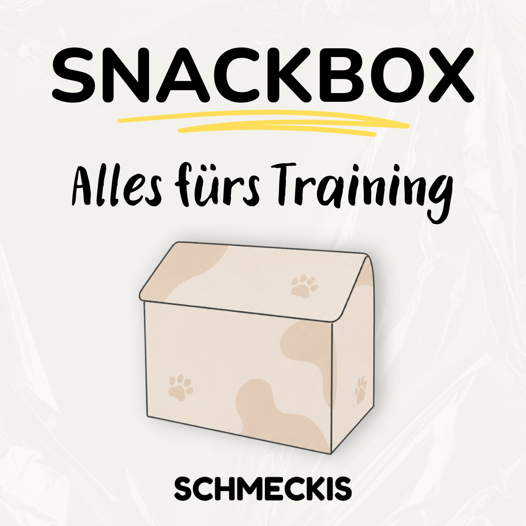 SNACKBOX - Training