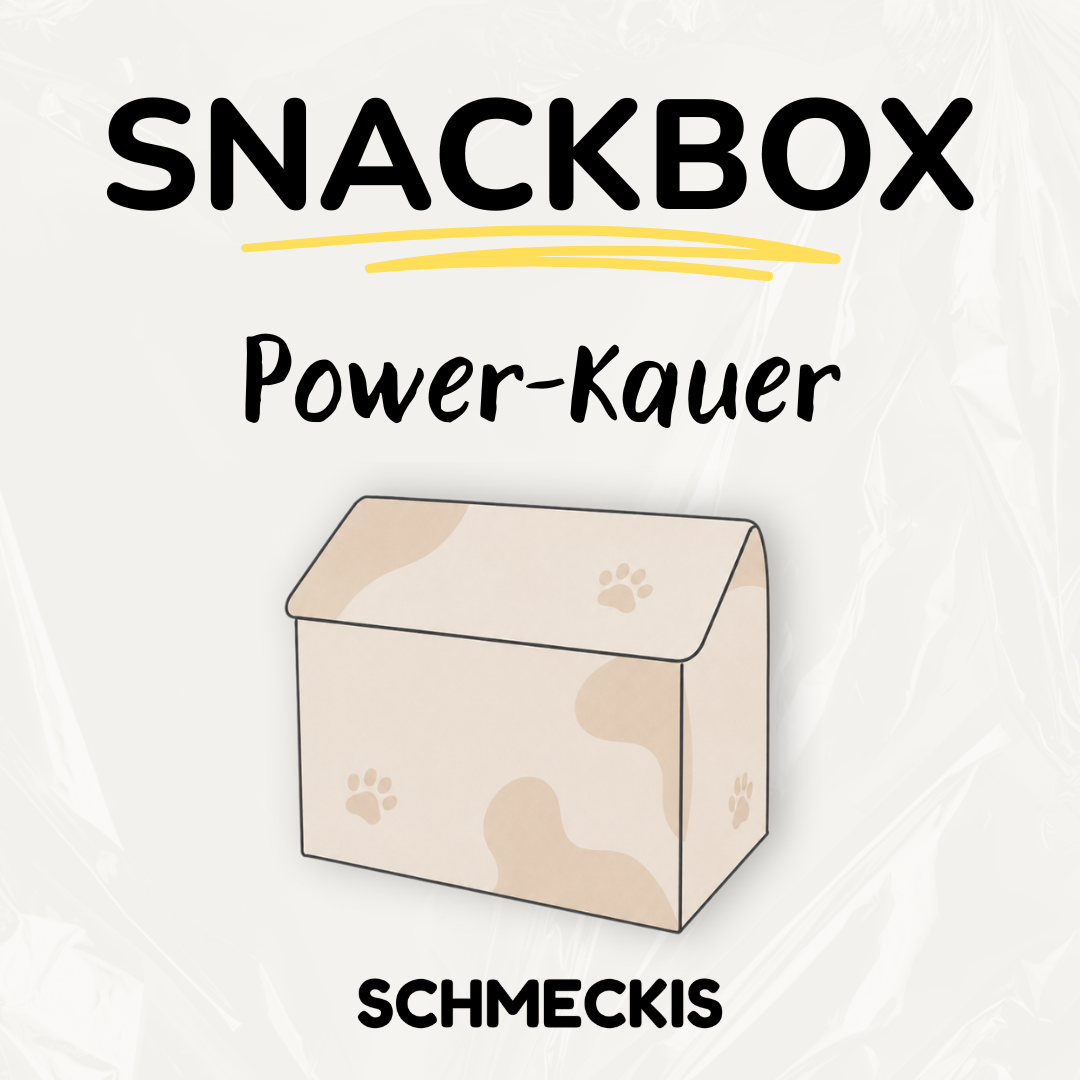 SNACKBOX - Power