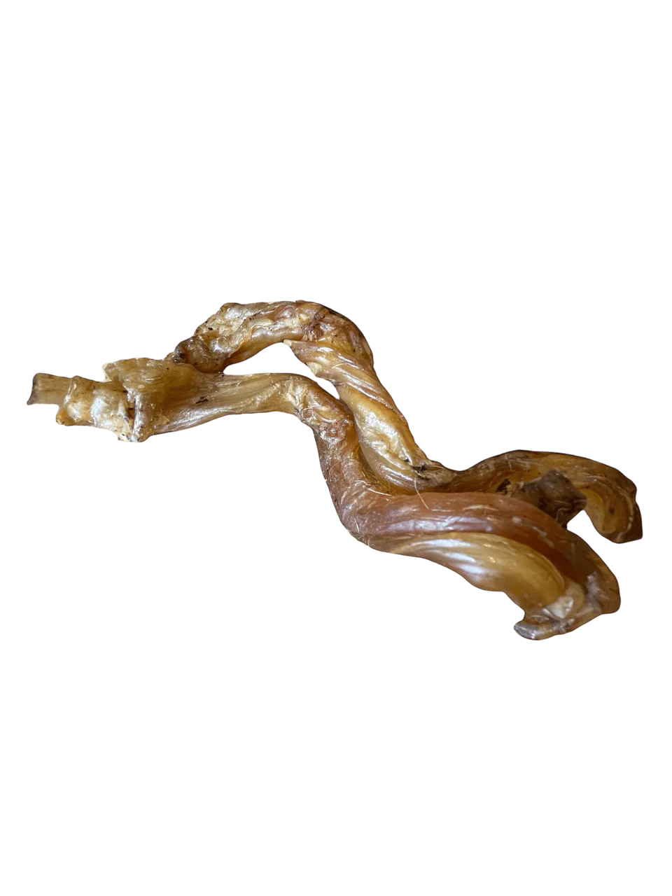 Pferde Achillessehne