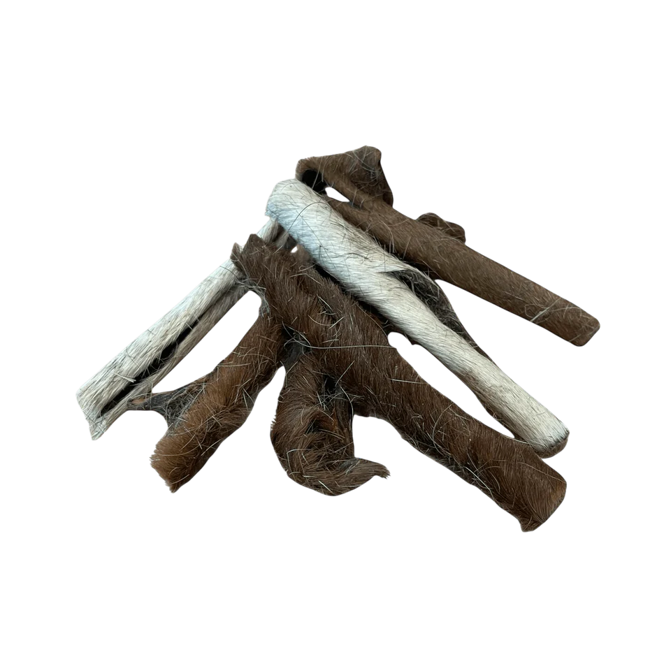 Pferde Haut mit Fell