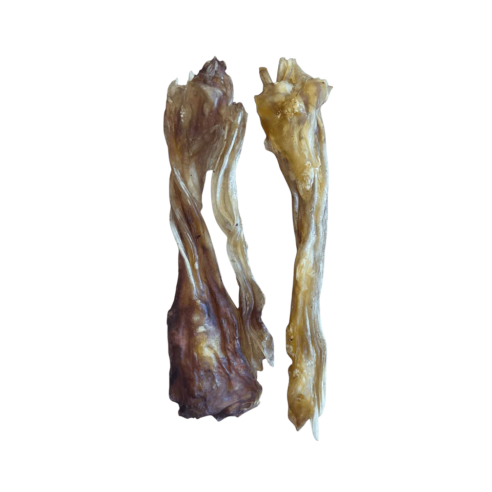 Rinder Achillessehne