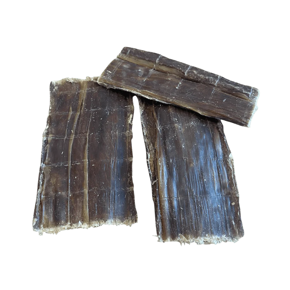 Rinder Schlund flach